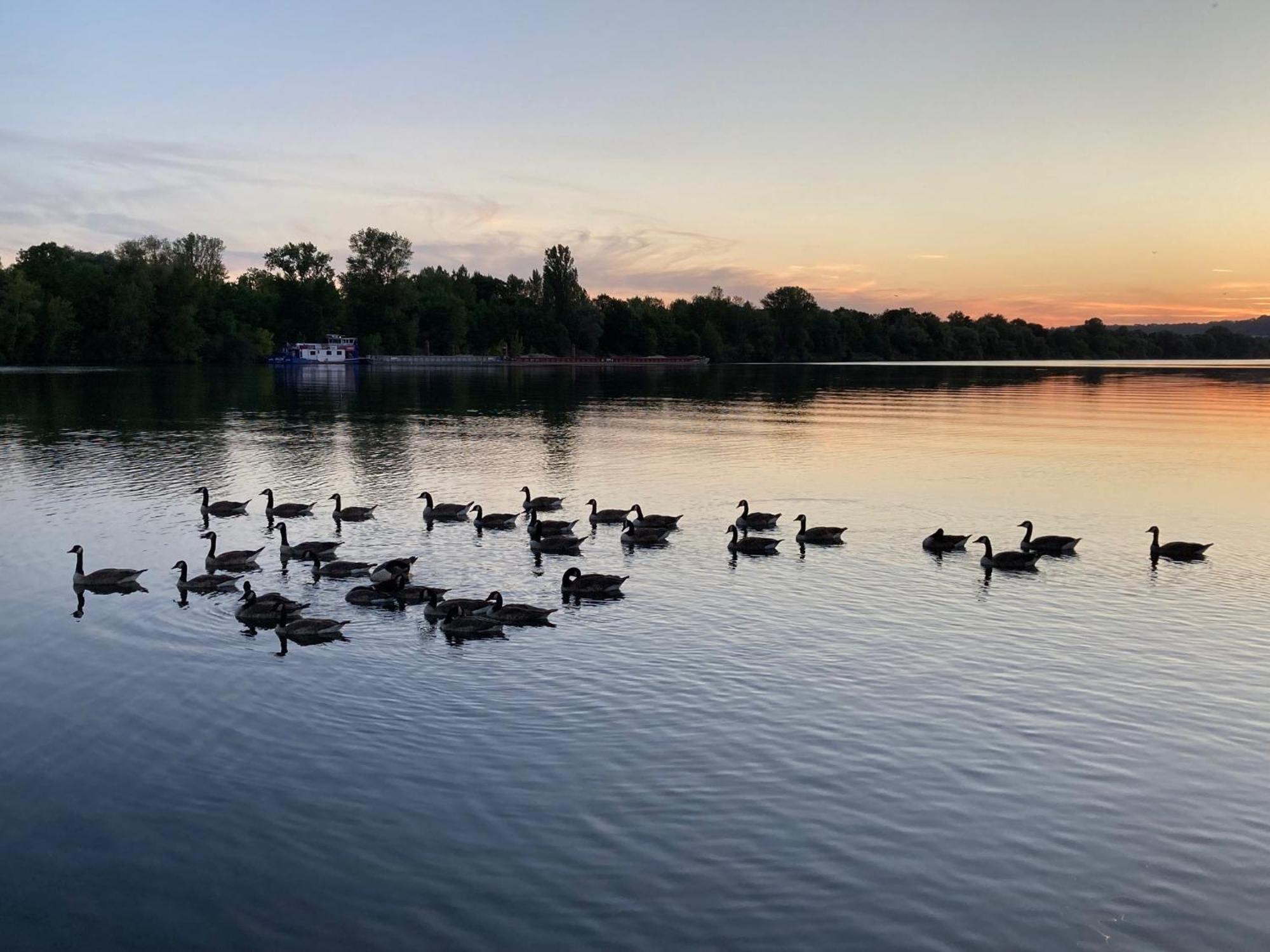 Seinehouse - Maison Flottante Vaux-Sur-Seine Zewnętrze zdjęcie